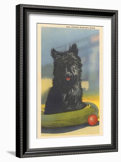 Fala, Roosevelt's Scottie Dog-null-Framed Art Print