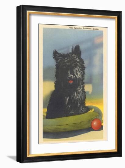 Fala, Roosevelt's Scottie Dog-null-Framed Art Print