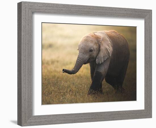 Falafelo-Ahmed Sobhi-Framed Photographic Print