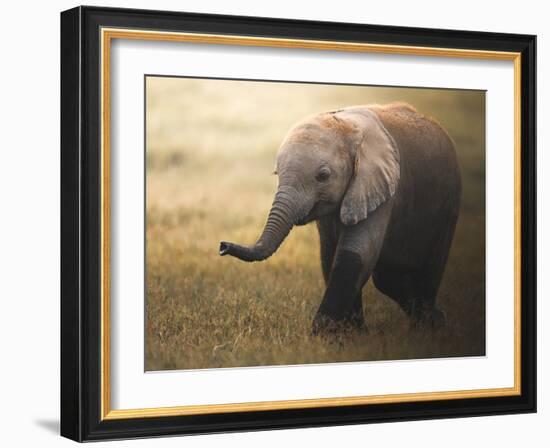 Falafelo-Ahmed Sobhi-Framed Photographic Print