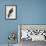 Falco Pygargus, Hen-Harrier, Fem-Christopher Atkinson-Framed Giclee Print displayed on a wall