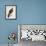 Falco Pygargus, Hen-Harrier, Fem-Christopher Atkinson-Framed Giclee Print displayed on a wall