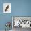 Falco Pygargus, Hen-Harrier, Fem-Christopher Atkinson-Framed Giclee Print displayed on a wall