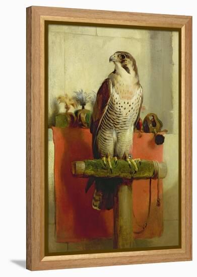 Falcon, 1837-Edwin Henry Landseer-Framed Premier Image Canvas