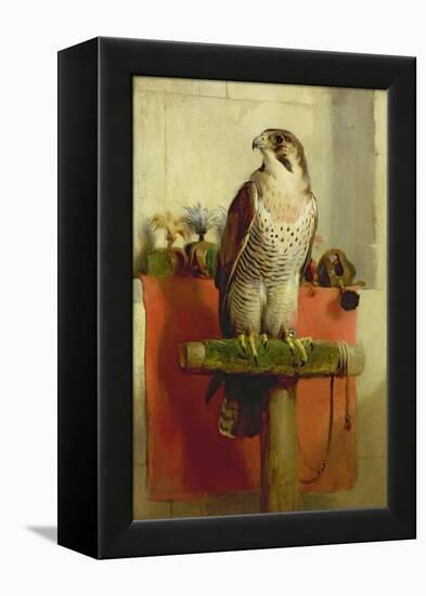 Falcon, 1837-Edwin Henry Landseer-Framed Premier Image Canvas