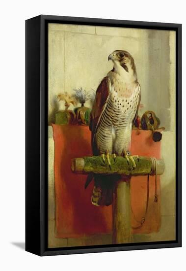 Falcon, 1837-Edwin Henry Landseer-Framed Premier Image Canvas