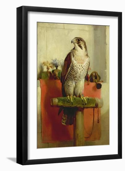 Falcon, 1837-Edwin Henry Landseer-Framed Giclee Print