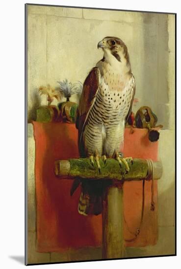 Falcon, 1837-Edwin Henry Landseer-Mounted Giclee Print