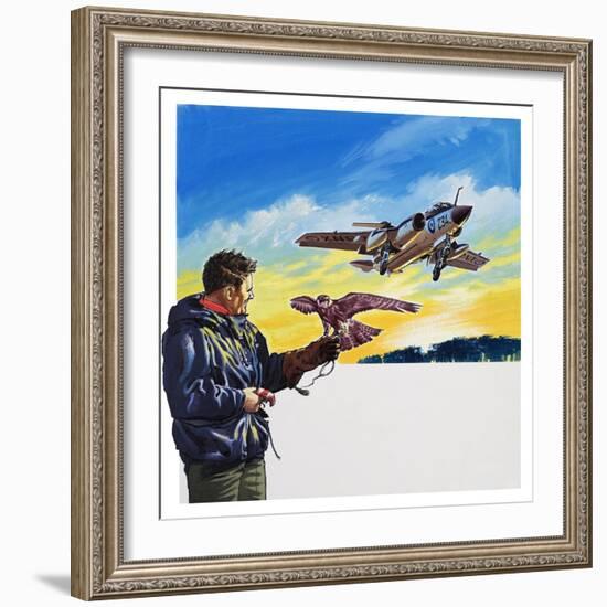 Falcon Flight-Wilf Hardy-Framed Giclee Print