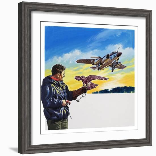 Falcon Flight-Wilf Hardy-Framed Giclee Print