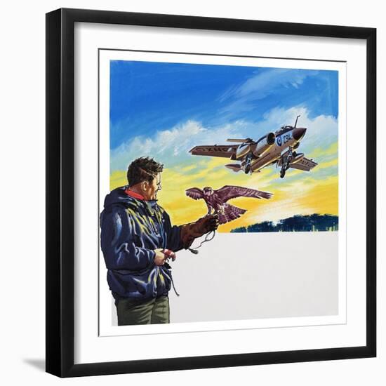 Falcon Flight-Wilf Hardy-Framed Giclee Print