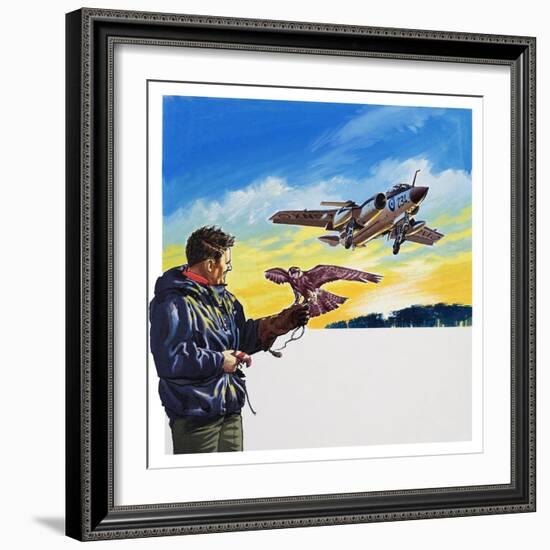 Falcon Flight-Wilf Hardy-Framed Giclee Print