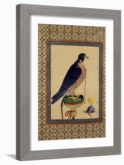 Falcon, from a Moraqqa-null-Framed Giclee Print