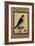 Falcon, from a Moraqqa-null-Framed Giclee Print