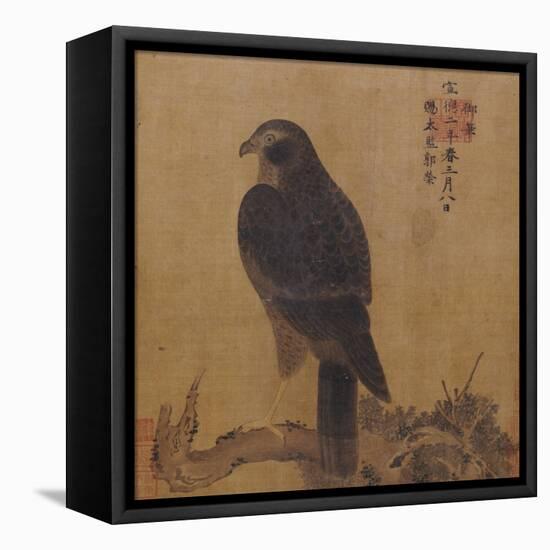 Falcon on a Pine Limb, Emperor Xuande, circa 1426-1435-null-Framed Premier Image Canvas