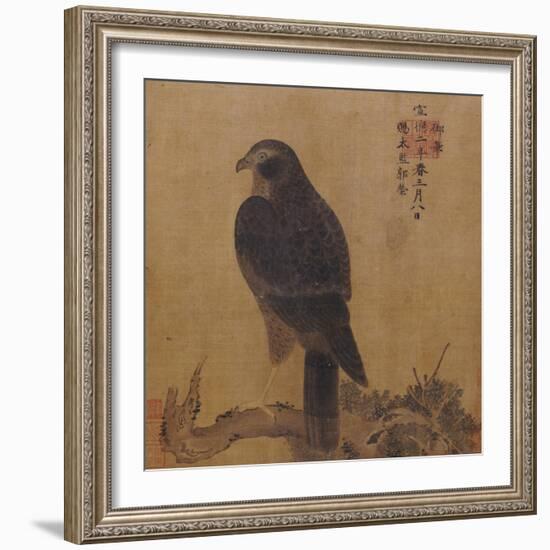 Falcon on a Pine Limb, Emperor Xuande, circa 1426-1435-null-Framed Giclee Print