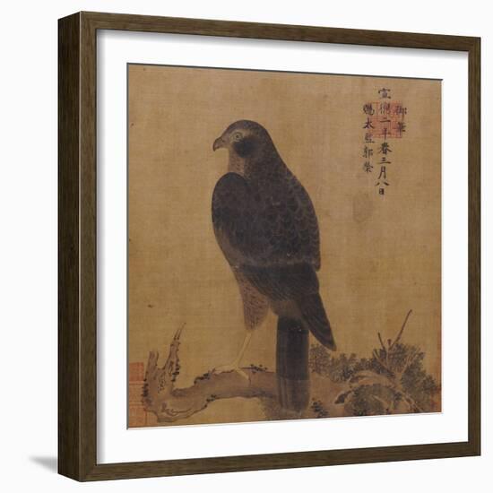 Falcon on a Pine Limb, Emperor Xuande, circa 1426-1435-null-Framed Giclee Print