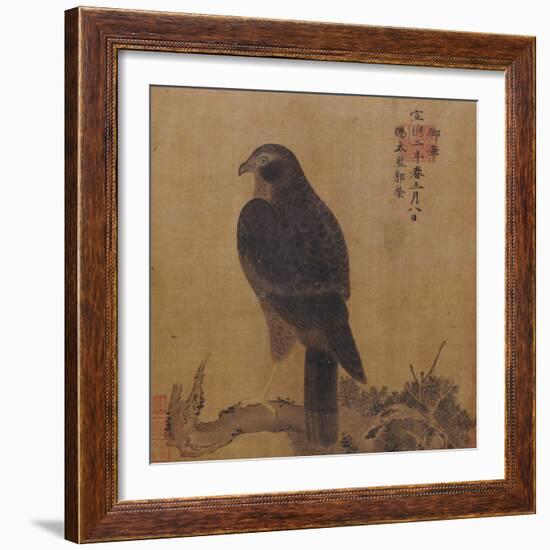 Falcon on a Pine Limb, Emperor Xuande, circa 1426-1435--Framed Giclee Print