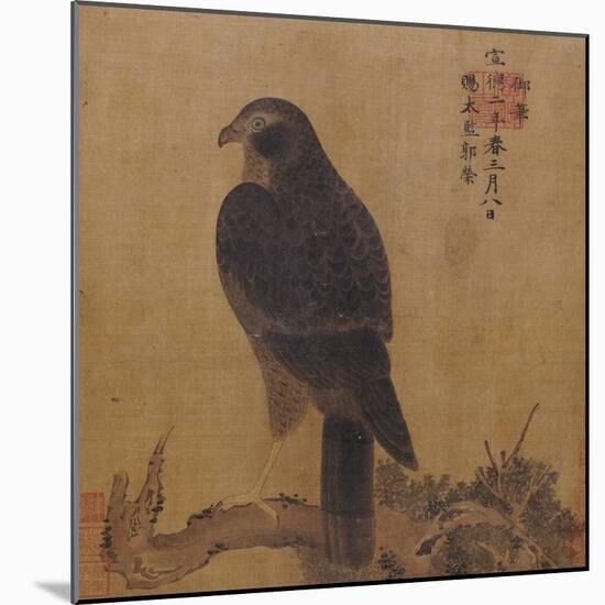 Falcon on a Pine Limb, Emperor Xuande, circa 1426-1435-null-Mounted Giclee Print