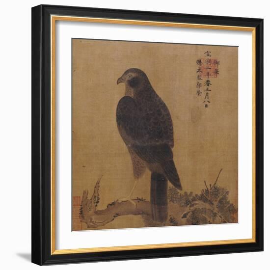 Falcon on a Pine Limb, Emperor Xuande, circa 1426-1435-null-Framed Giclee Print