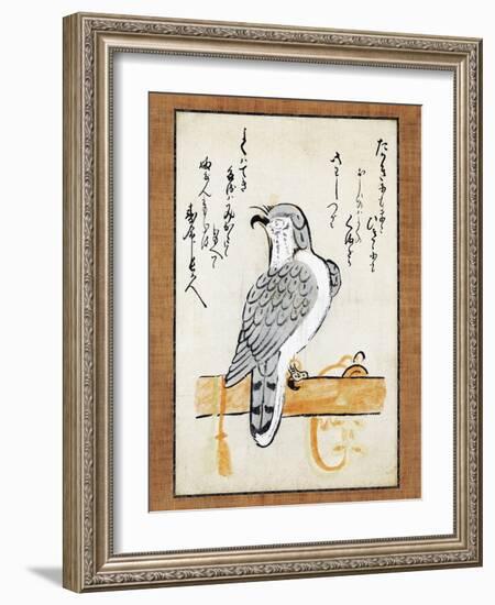 Falcon Tethered to Perch on Vertical Roll-null-Framed Giclee Print