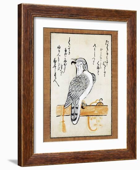 Falcon Tethered to Perch on Vertical Roll-null-Framed Giclee Print