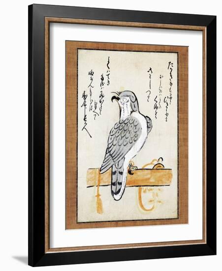 Falcon Tethered to Perch on Vertical Roll-null-Framed Giclee Print