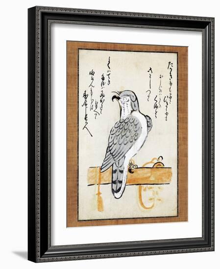 Falcon Tethered to Perch on Vertical Roll-null-Framed Giclee Print