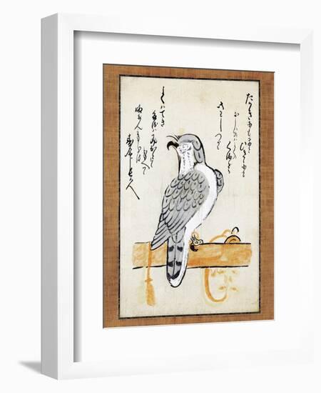 Falcon Tethered to Perch on Vertical Roll-null-Framed Giclee Print