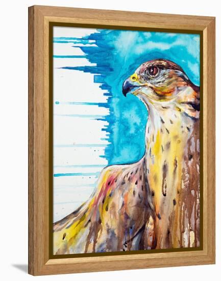 Falcon-Marc Allante-Framed Stretched Canvas