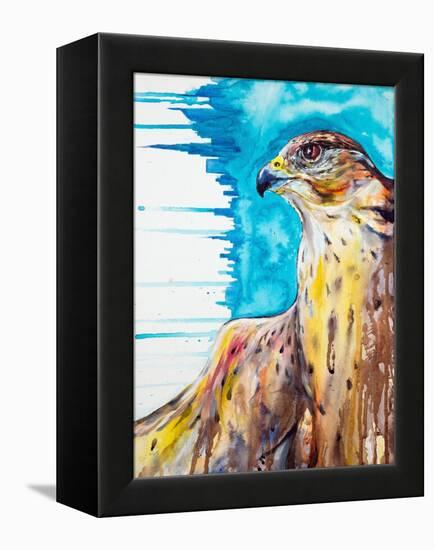 Falcon-Marc Allante-Framed Stretched Canvas