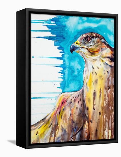 Falcon-Marc Allante-Framed Stretched Canvas