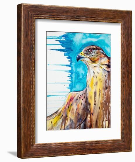 Falcon-Marc Allante-Framed Art Print