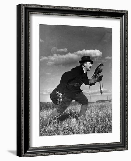 Falconry: Advancing-null-Framed Photographic Print