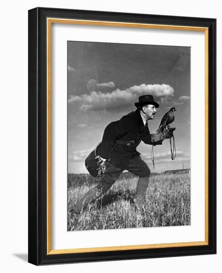 Falconry: Advancing-null-Framed Photographic Print