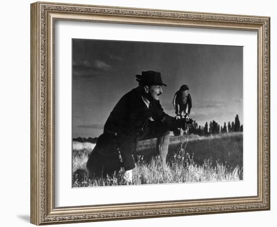 Falconry: at Rest-null-Framed Photographic Print