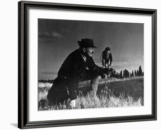 Falconry: at Rest-null-Framed Photographic Print