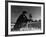 Falconry: at Rest-null-Framed Photographic Print