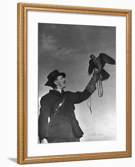 Falconry: Showing Off-null-Framed Photographic Print