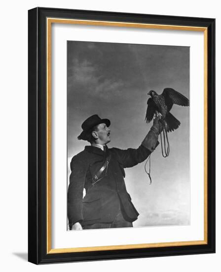Falconry: Showing Off-null-Framed Photographic Print