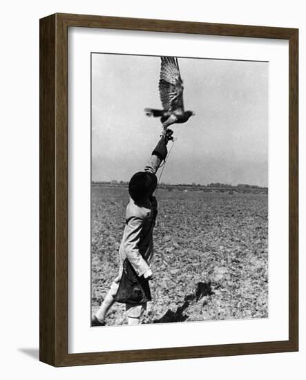 Falconry: the Release-null-Framed Photographic Print