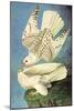 Falcons-John James Audubon-Mounted Art Print