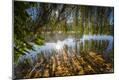 Photographic Print
