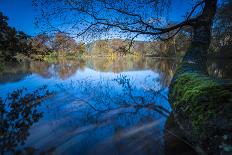 Autumn Foliage in the Lake-Falk Hermann-Photographic Print