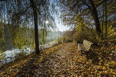 Autumn Foliage in the Lake-Falk Hermann-Photographic Print
