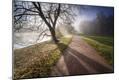 Photographic Print
