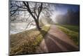 Photographic Print