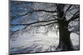 Photographic Print