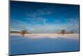 Photographic Print