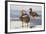 Falkland Flightless Steamer Duck. Male and Female. Falkland Islands-Martin Zwick-Framed Photographic Print